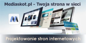 Mediaskot.pl - Strony internetowe dla firm